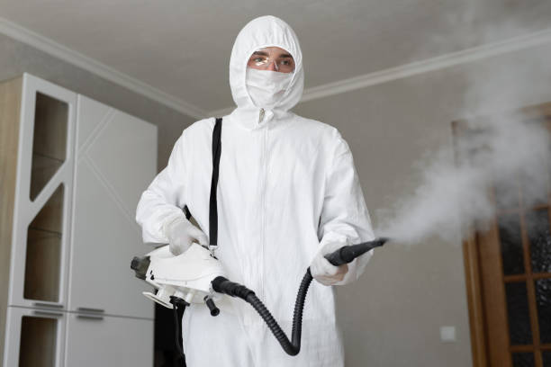 Best Environmental Consulting for Mold Prevention  in Madison, IN